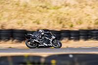 anglesey-no-limits-trackday;anglesey-photographs;anglesey-trackday-photographs;enduro-digital-images;event-digital-images;eventdigitalimages;no-limits-trackdays;peter-wileman-photography;racing-digital-images;trac-mon;trackday-digital-images;trackday-photos;ty-croes